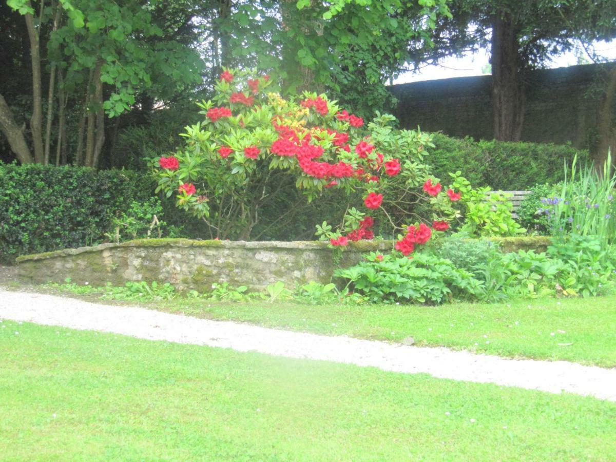 Bed & Breakfast Chateau Les Cedres Bretteville-l'Orgueilleuse Екстериор снимка