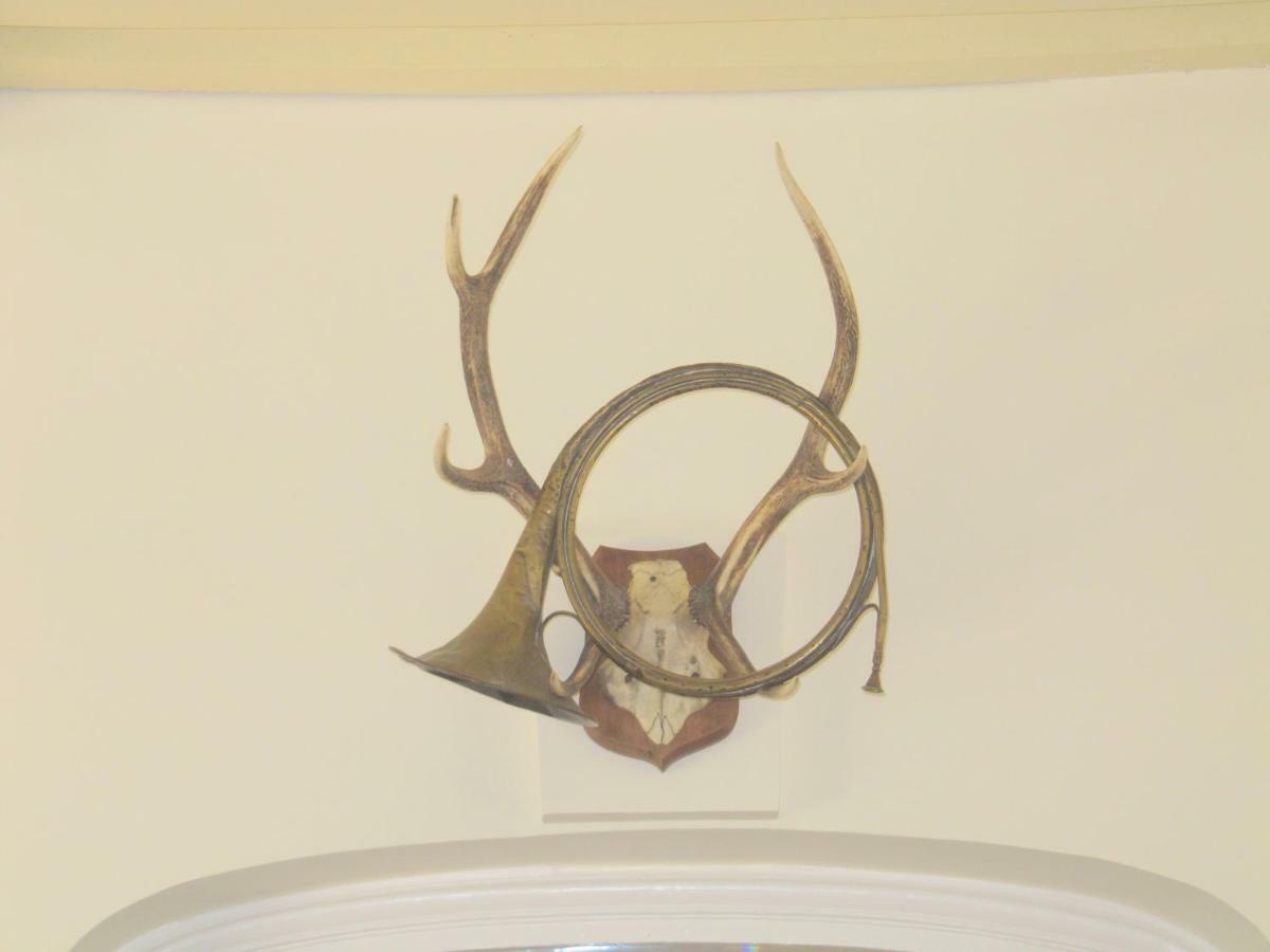 Bed & Breakfast Chateau Les Cedres Bretteville-l'Orgueilleuse Екстериор снимка